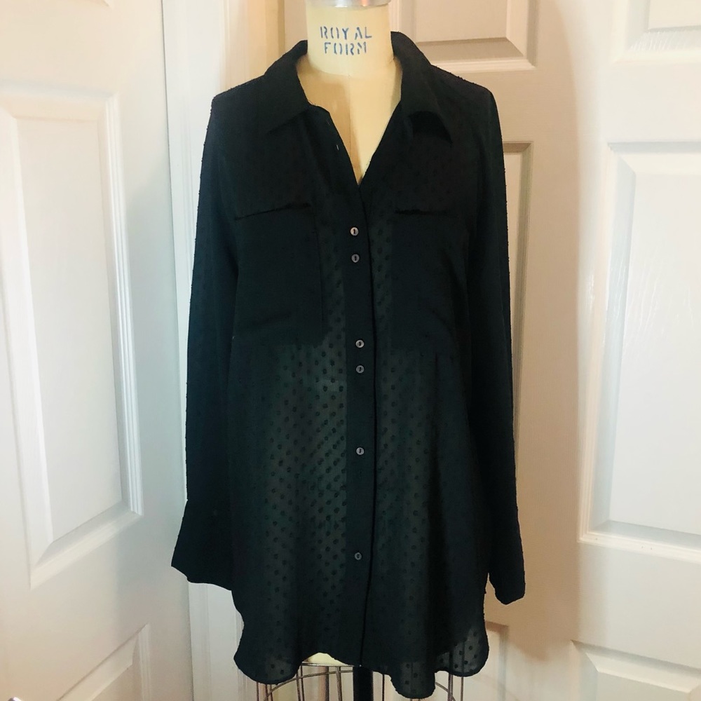 Zara chiffon top